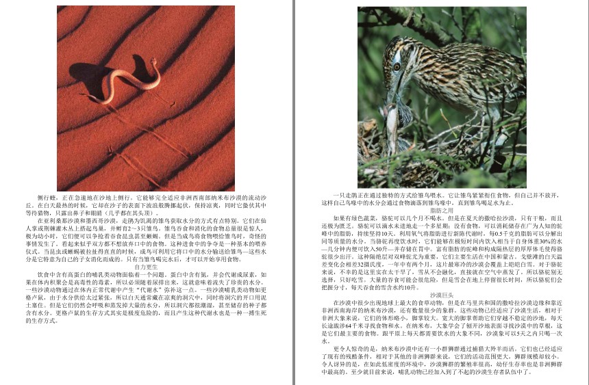 QQ截图20230607075424.png