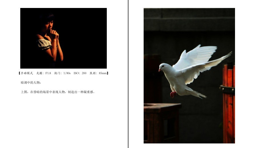 QQ截图20230428102906.png