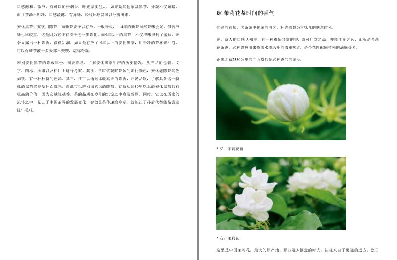QQ截图20230918093001.png