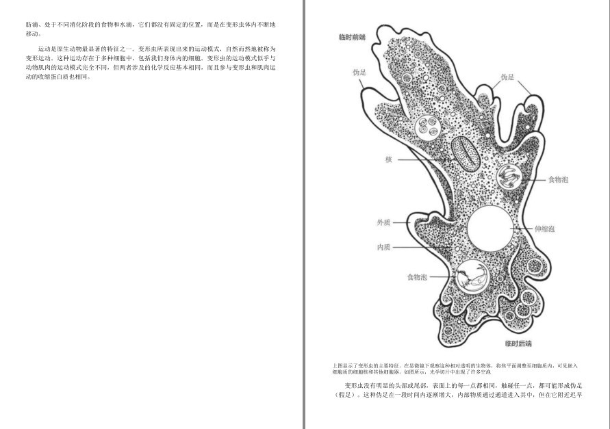 QQ截图20220919204110.png