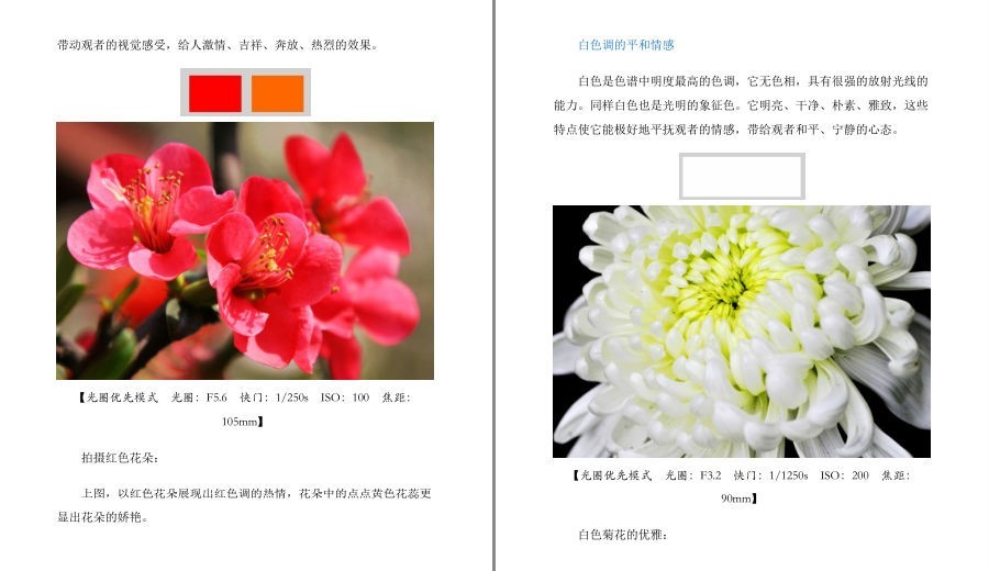 QQ截图20230428102927.png