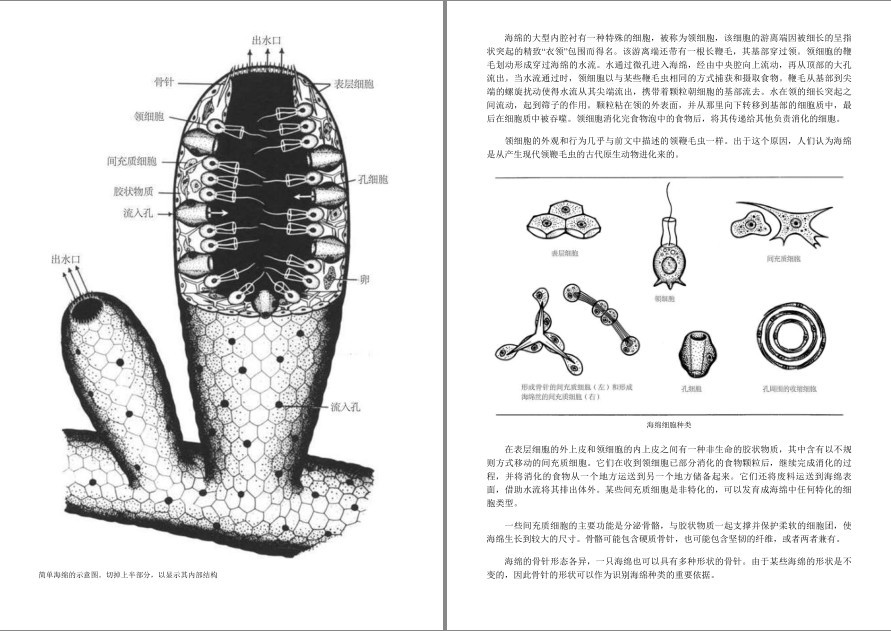 QQ截图20220919204239.png
