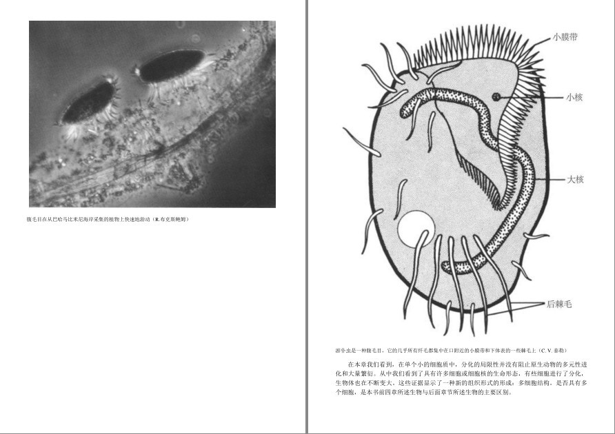QQ截图20220919204219.png