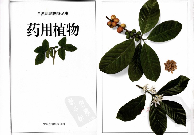 QQ截图20230718074429.png