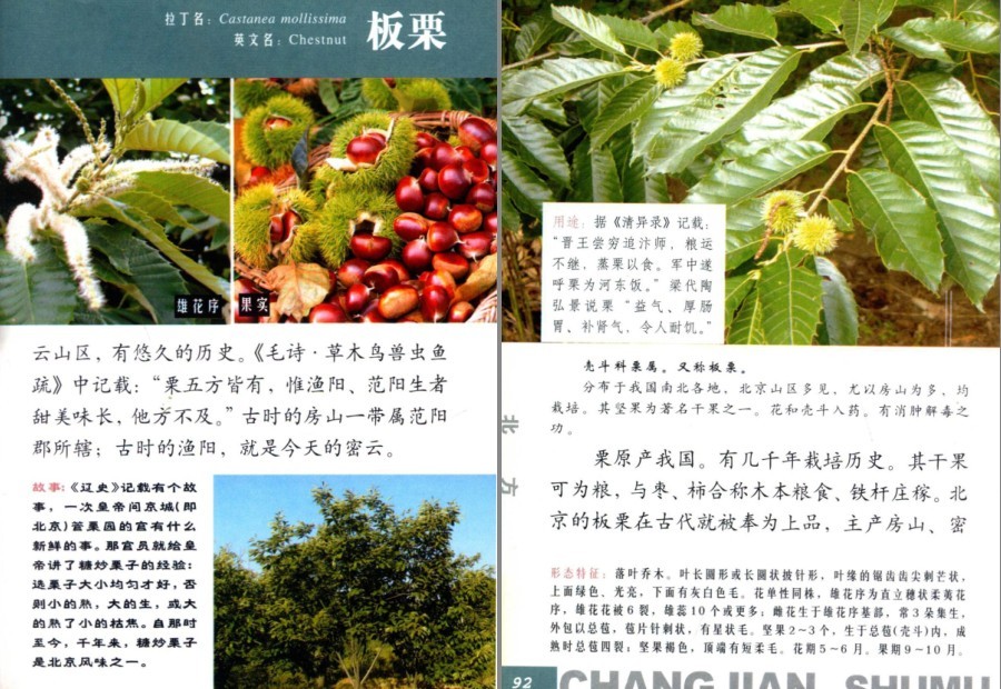 QQ截图20230704160839.png
