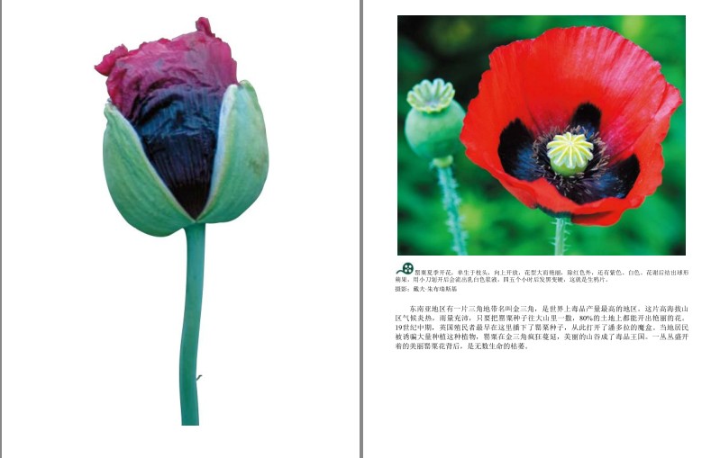 QQ截图20230913193724.png