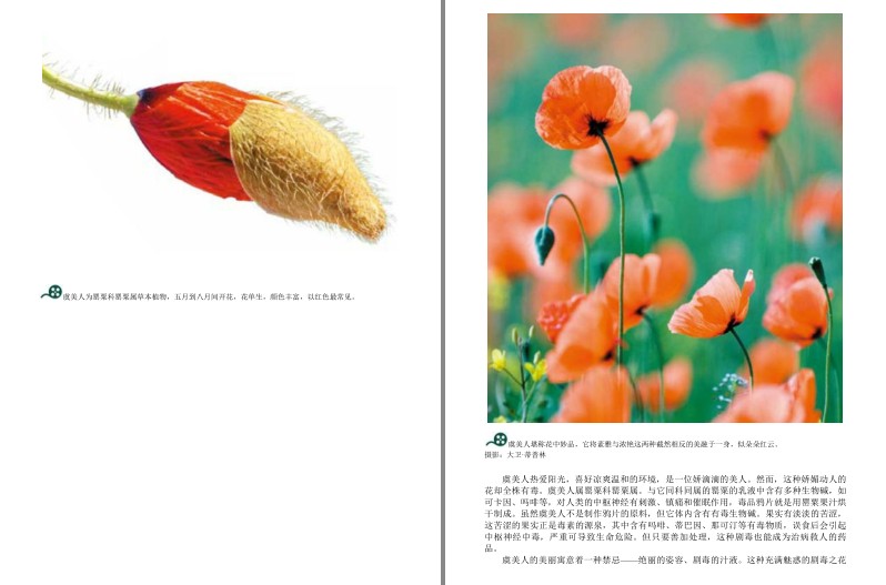 QQ截图20230913193710.png