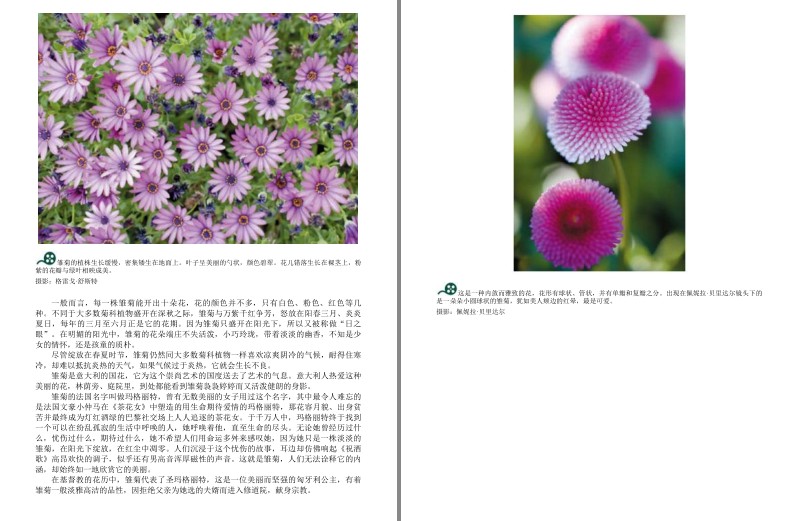 QQ截图20230913193637.png