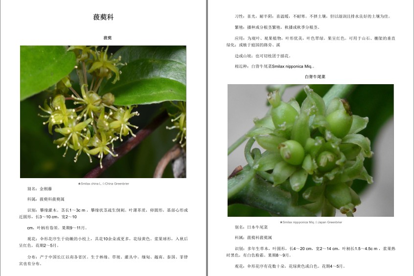 QQ截图20230808085756.png