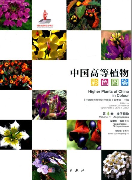 QQ截图20230807071628.png
