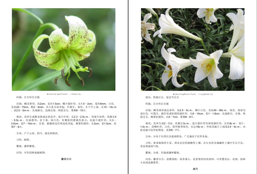 QQ截图20230808085823.png