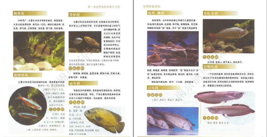 QQ截图20230604073011.png