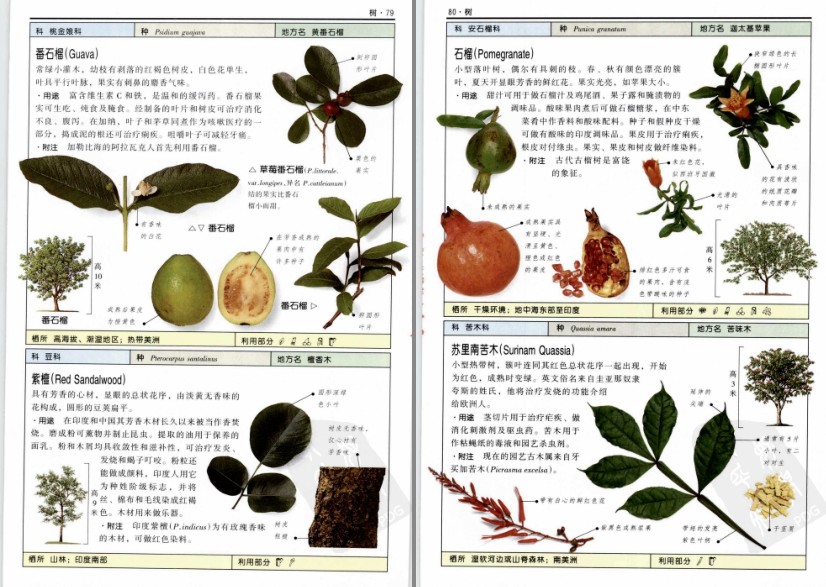 QQ截图20230718074545.png