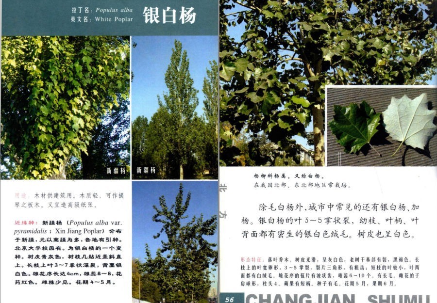 QQ截图20230704160743.png