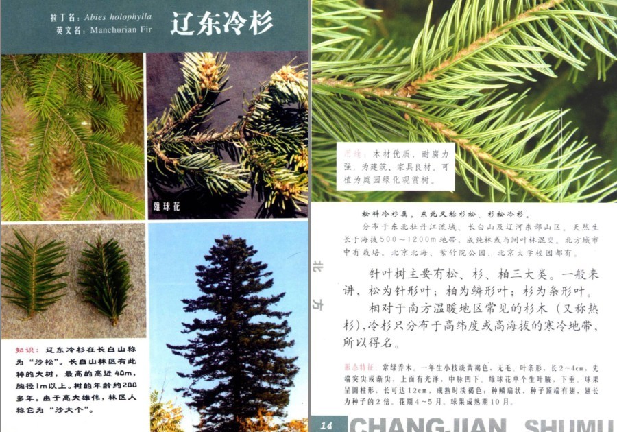QQ截图20230704160638.png