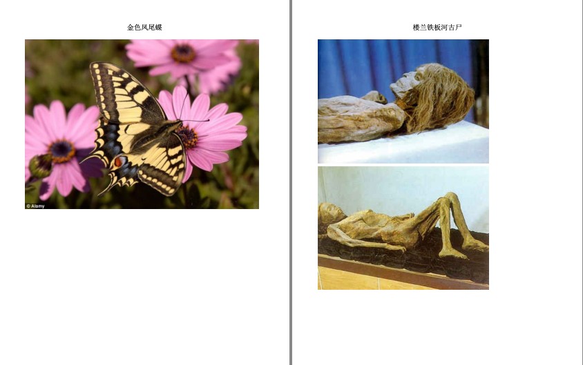 QQ截图20230828141205.png
