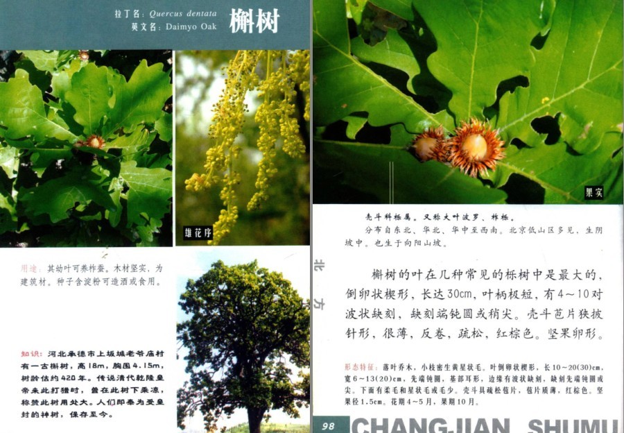 QQ截图20230704160849.png