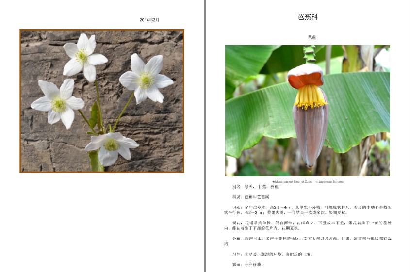 QQ截图20230808085742.png