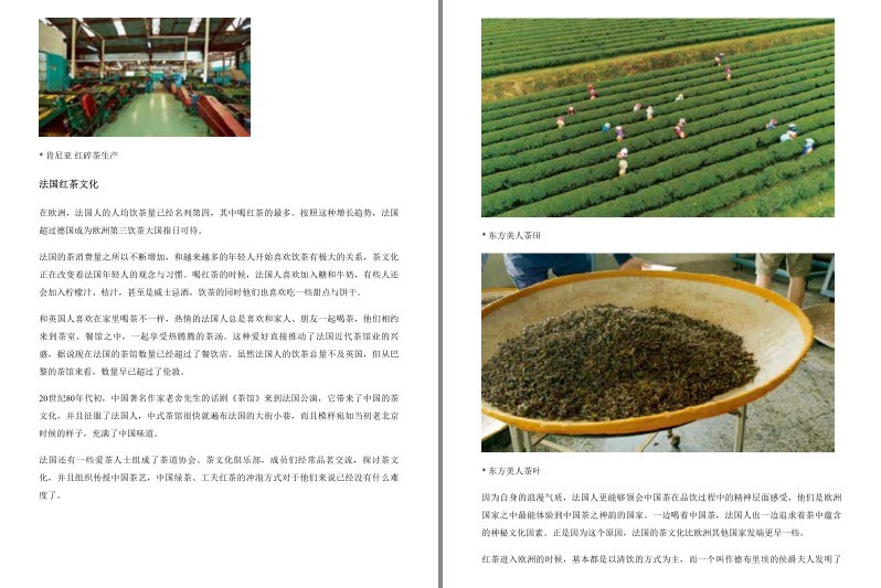 QQ截图20230918092922.png