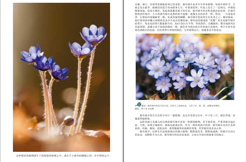 QQ截图20230913193650.png