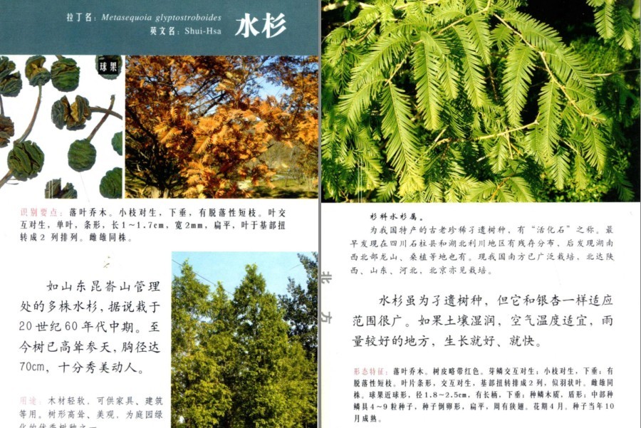 QQ截图20230704160659.png