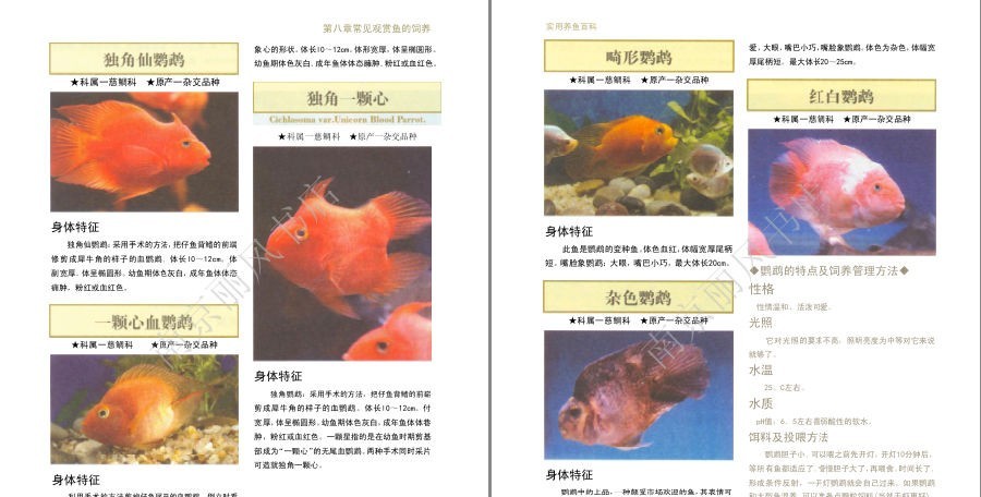 QQ截图20230604073127.png