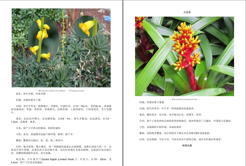 QQ截图20230808085846.png