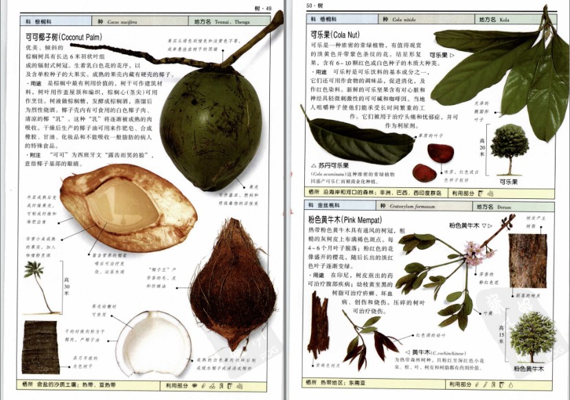 QQ截图20230718074508.png