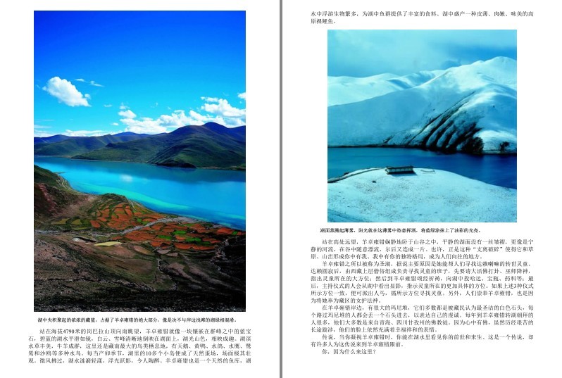 QQ截图20231222204255.png