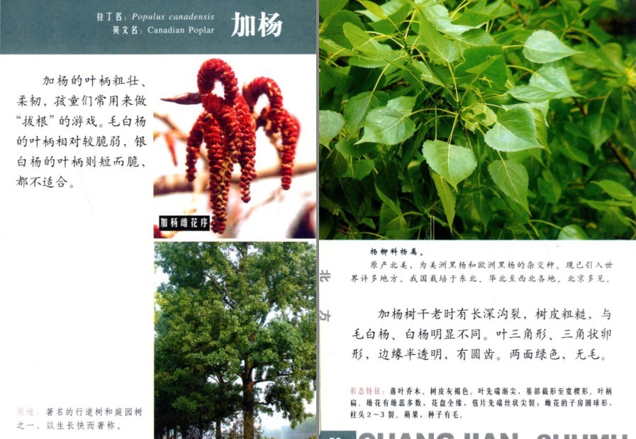 QQ截图20230704160750.png