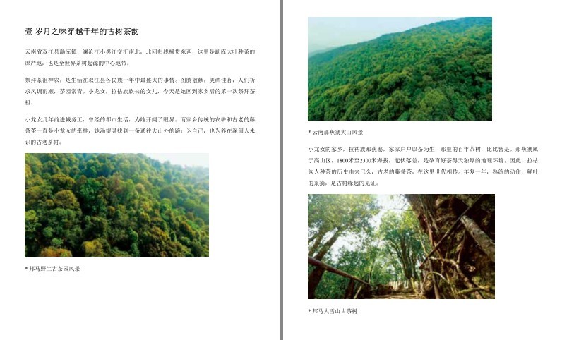 QQ截图20230918092931.png