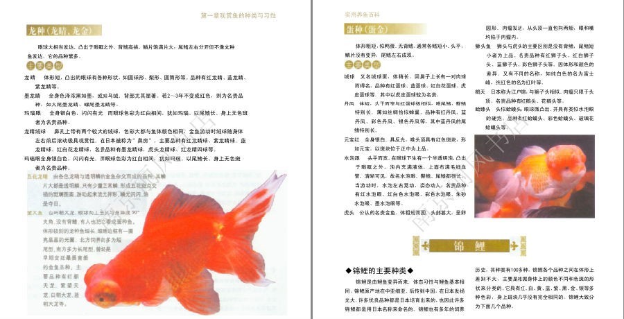 QQ截图20230604072950.png