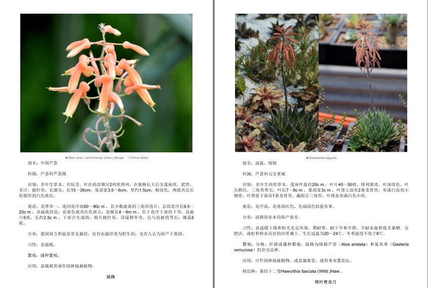 QQ截图20230808085924.png