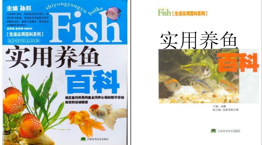 QQ截图20230604072931.png