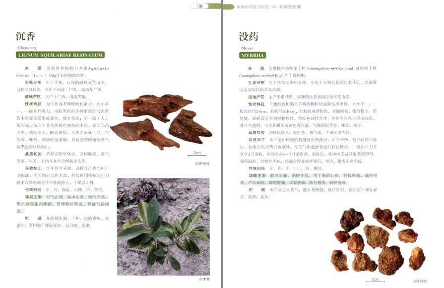 QQ截图20220930081432.png