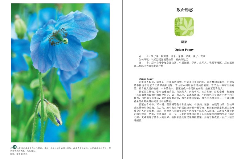 QQ截图20230913193717.png