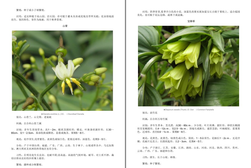 QQ截图20230808085811.png