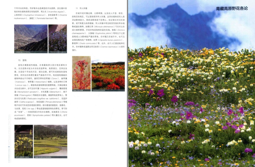 QQ截图20230723071651.png