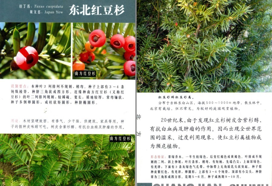 QQ截图20230704160735.png