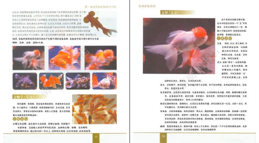 QQ截图20230604072942.png