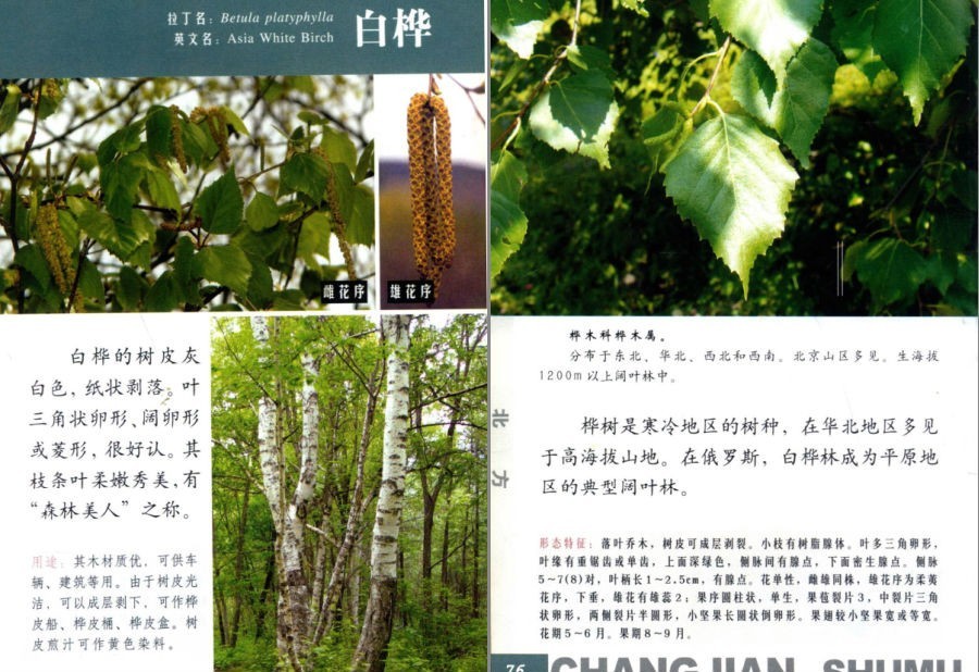 QQ截图20230704160816.png