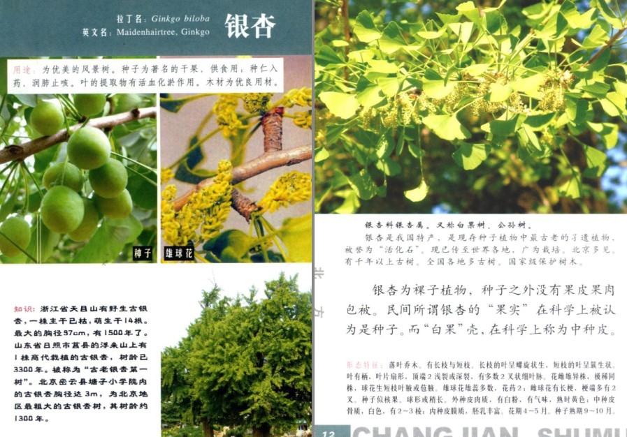 QQ截图20230704160631.png