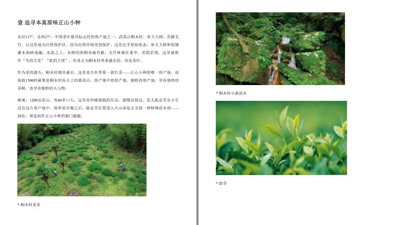 QQ截图20230918092859.png