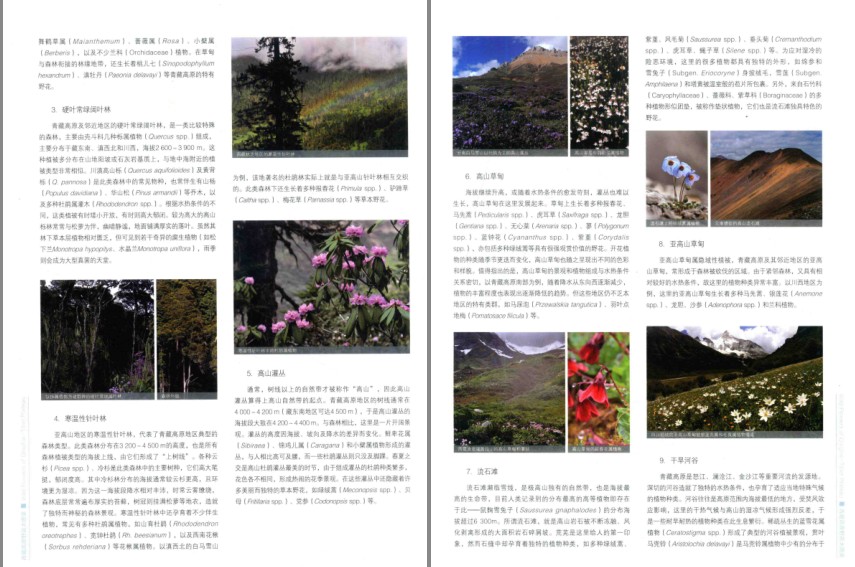 QQ截图20230723071641.png