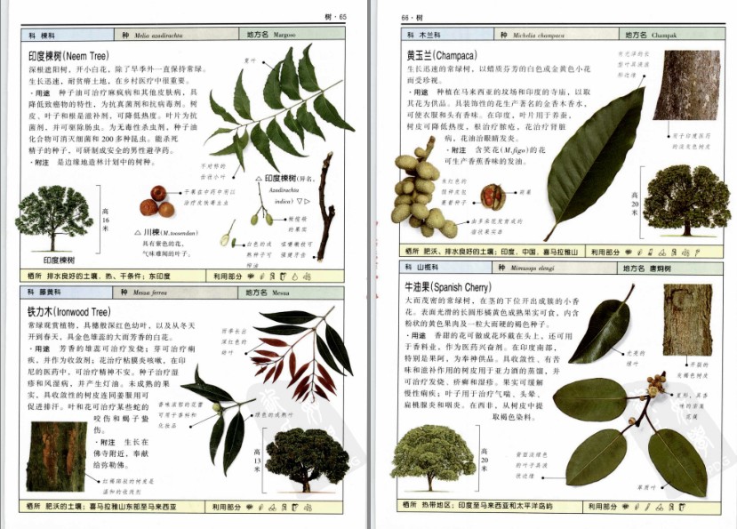 QQ截图20230718074526.png