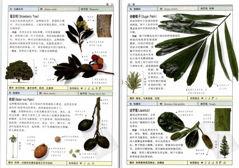 QQ截图20230718074450.png