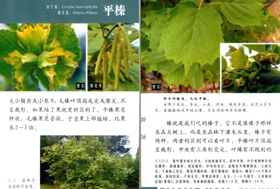 QQ截图20230704160828.png