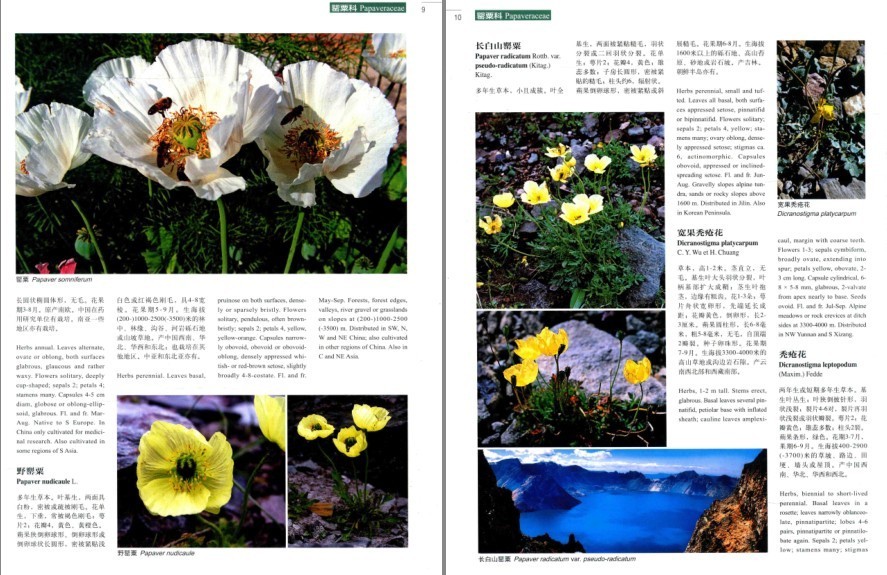 QQ截图20230807071653.png
