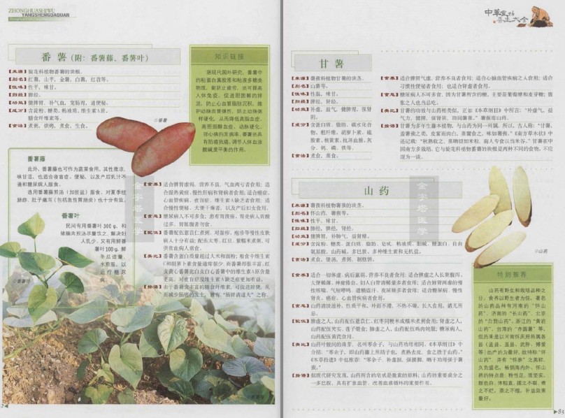 QQ截图20230713191313.png