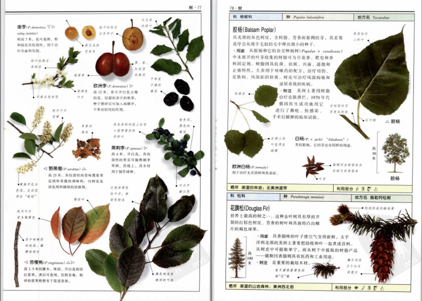 QQ截图20230718074537.png